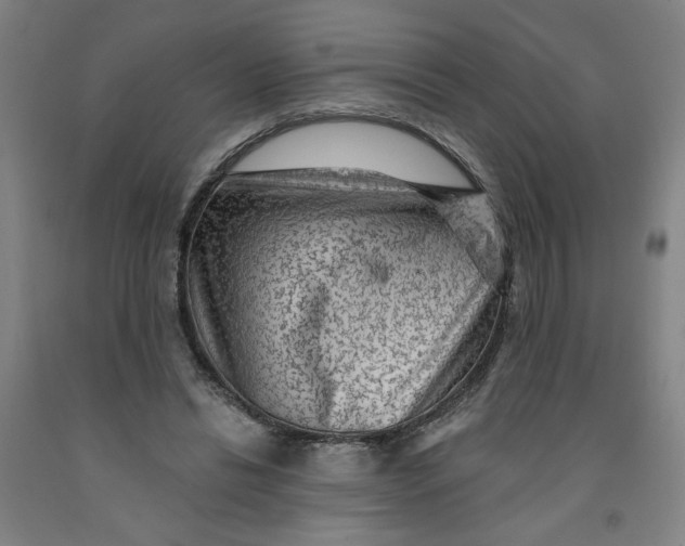 X0000091950446200709271329