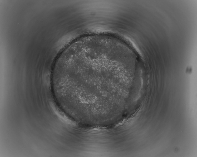 X0000091950447200709271329