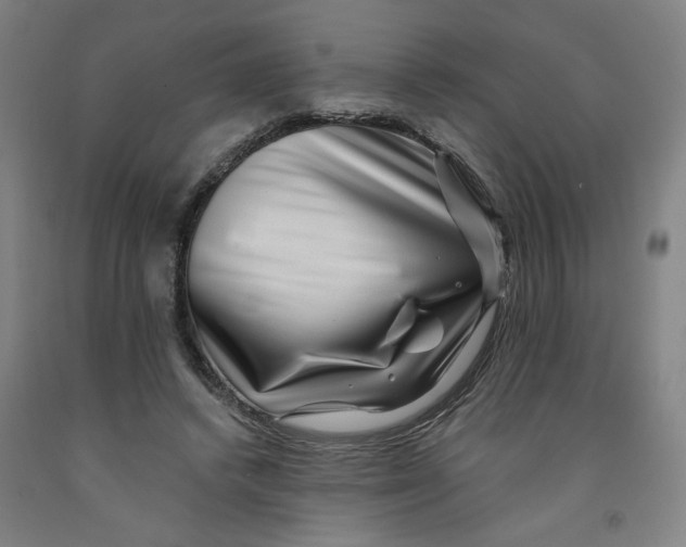 X0000091950448200709271329