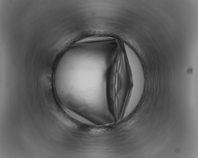 X0000091950450200709271329