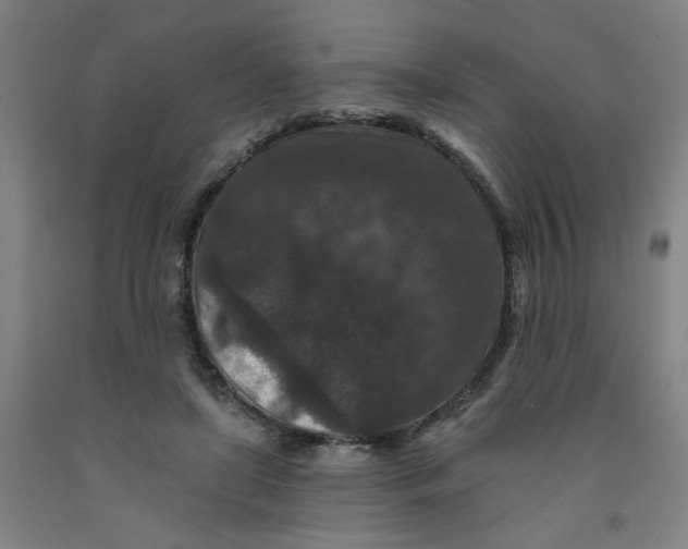 X0000091950451200709271329