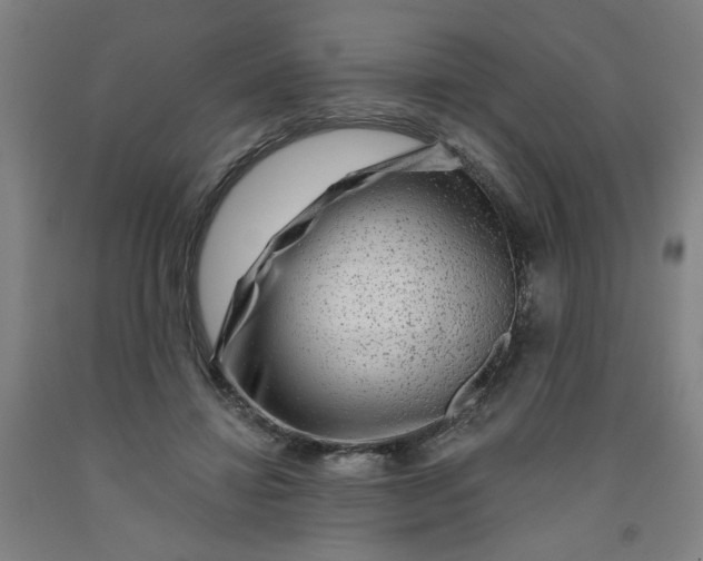 X0000091950452200709271329