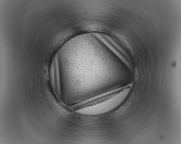 X0000091950453200709271329