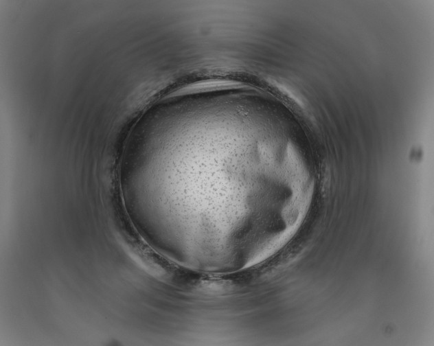 X0000091950455200709271329