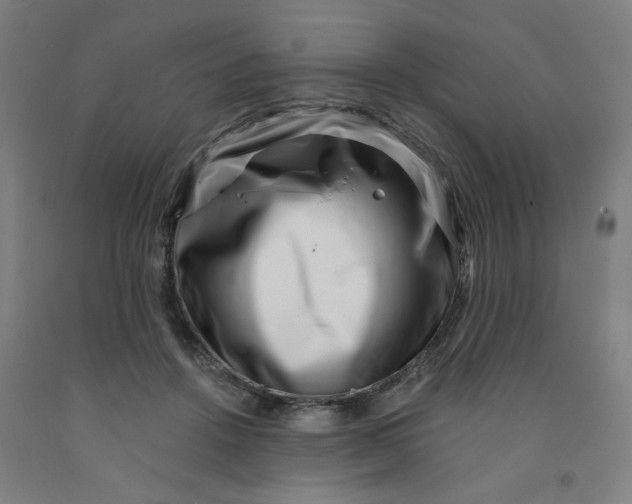 X0000091950456200709271329