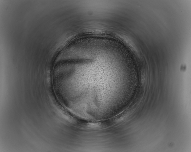 X0000091950457200709271329