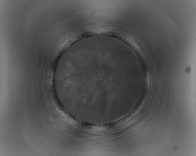 X0000091950458200709271329