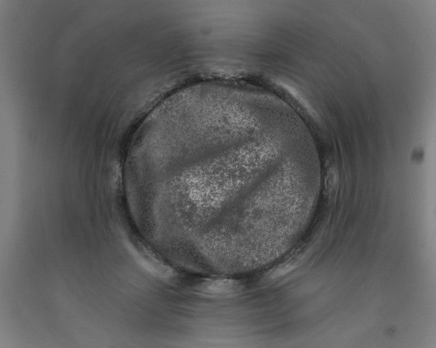 X0000091950459200709271329