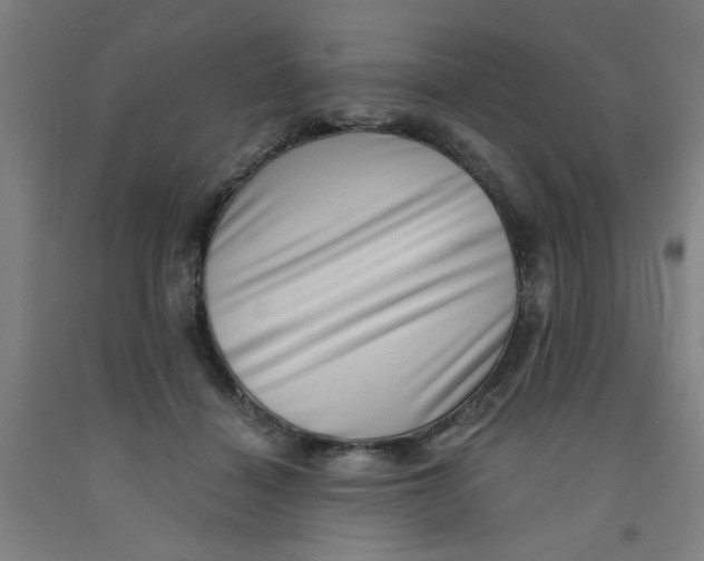 X0000091950460200709271329