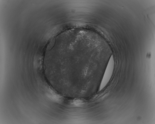 X0000091950462200709271329