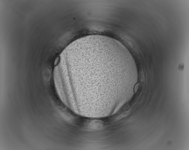 X0000091950463200709271329