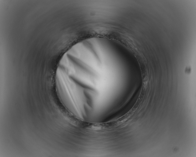 X0000091950464200709271329