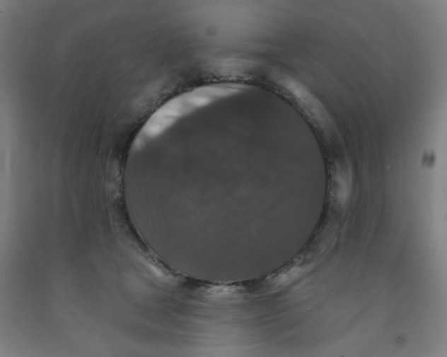 X0000091950465200709271329