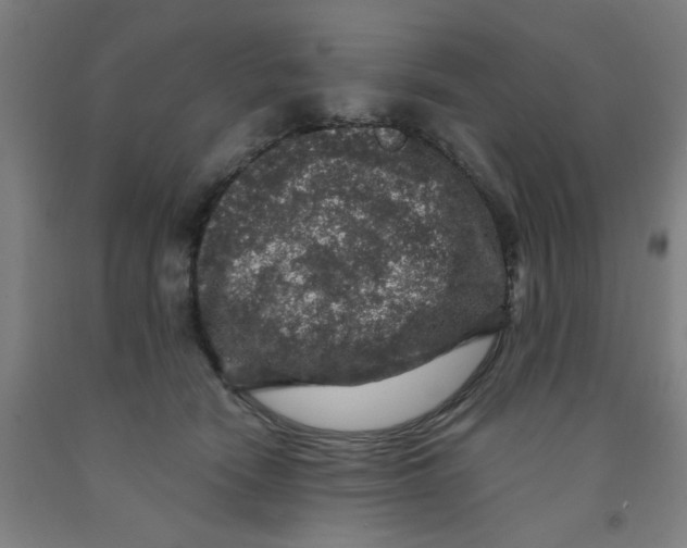 X0000091950466200709271329