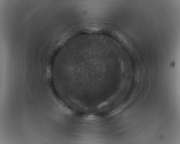 X0000091950467200709271329