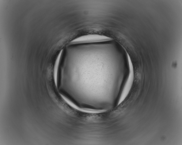 X0000091950468200709271329