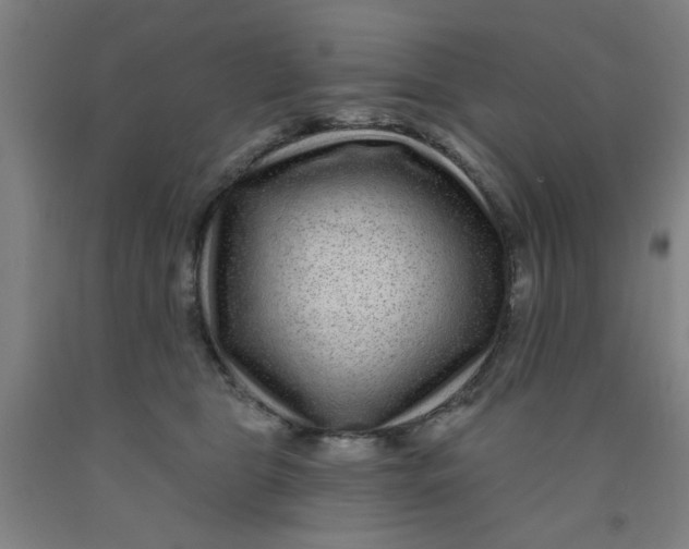 X0000091950469200709271329