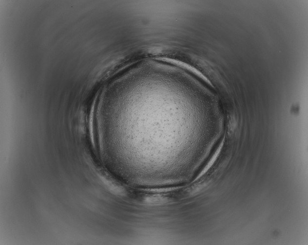 X0000091950470200709271329