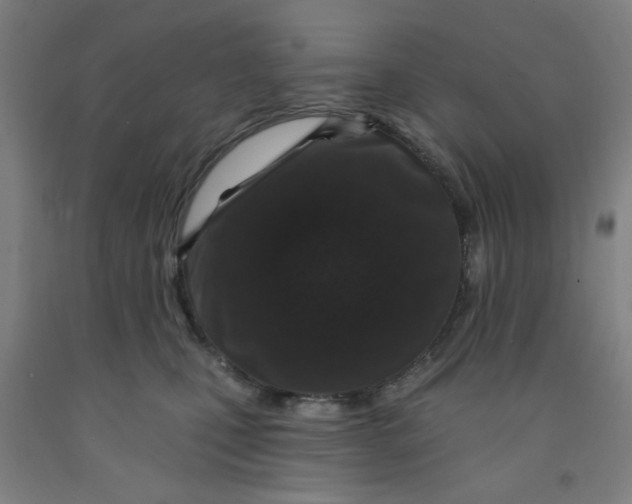 X0000091950471200709271329