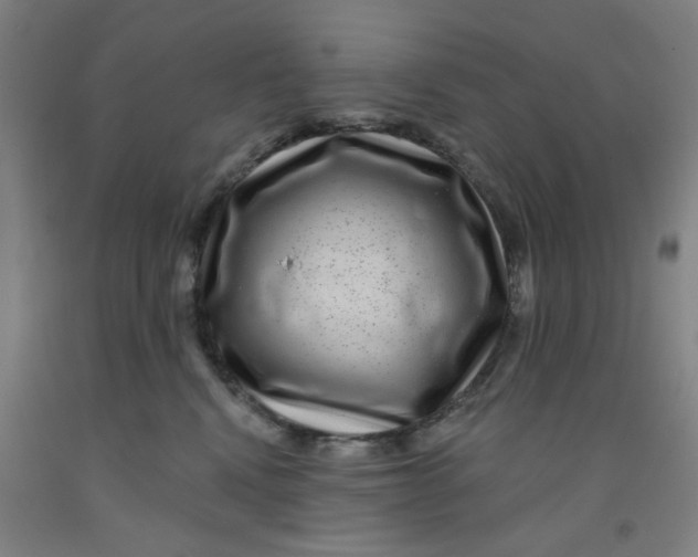 X0000091950472200709271329