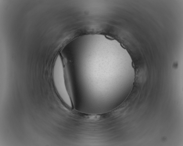 X0000091950474200709271329