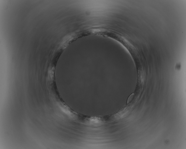 X0000091950475200709271329