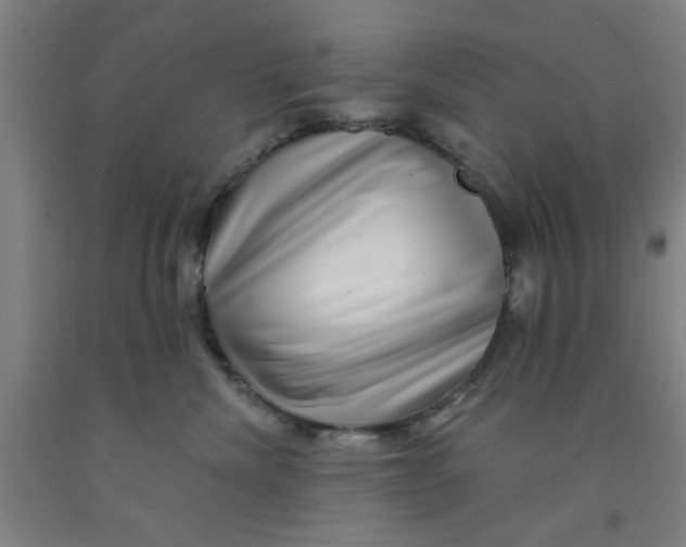 X0000091950476200709271329