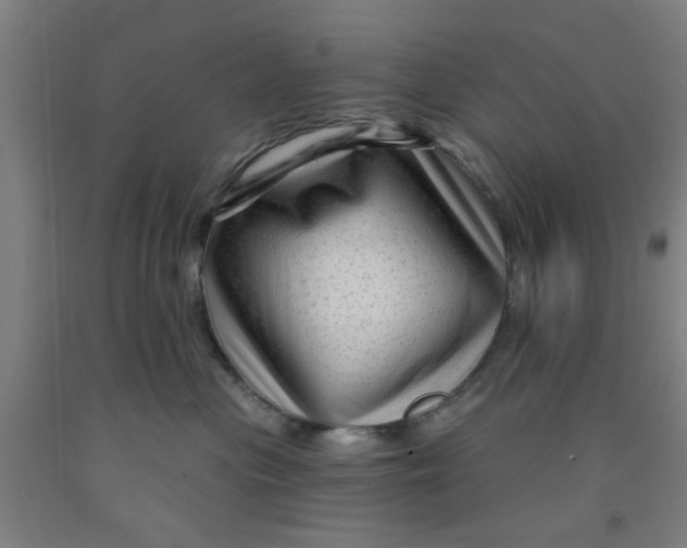 X0000091950477200709271329