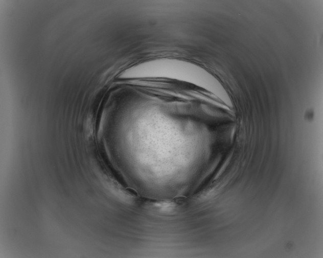 X0000091950478200709271329