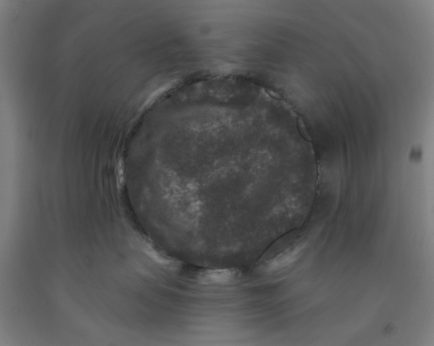 X0000091950479200709271329