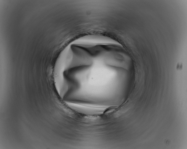 X0000091950480200709271329