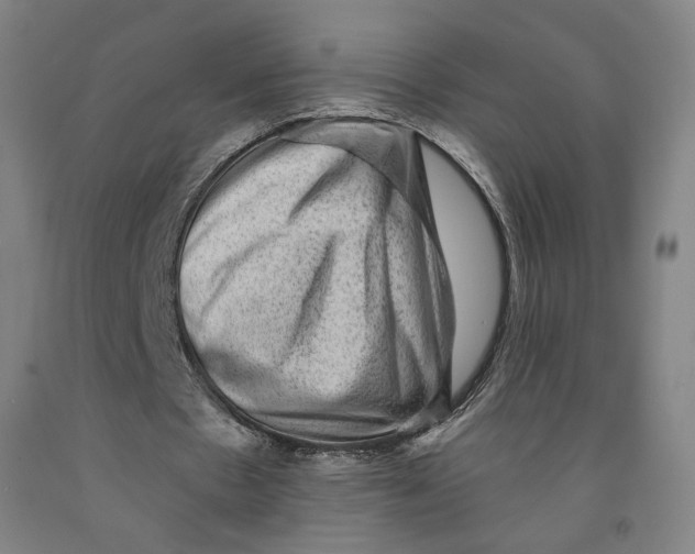 X0000091950481200709271329