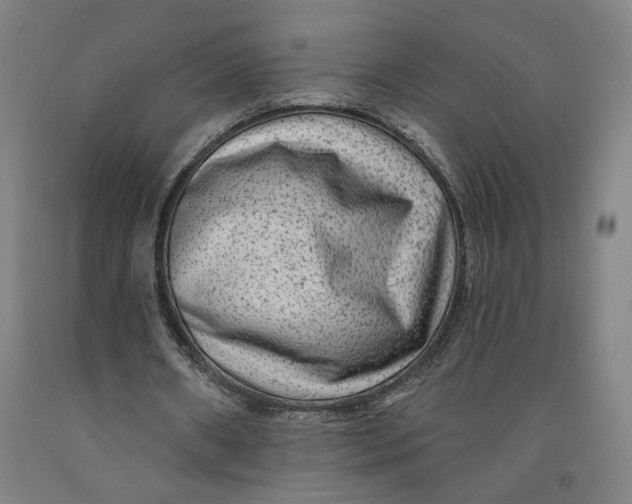 X0000091950482200709271329