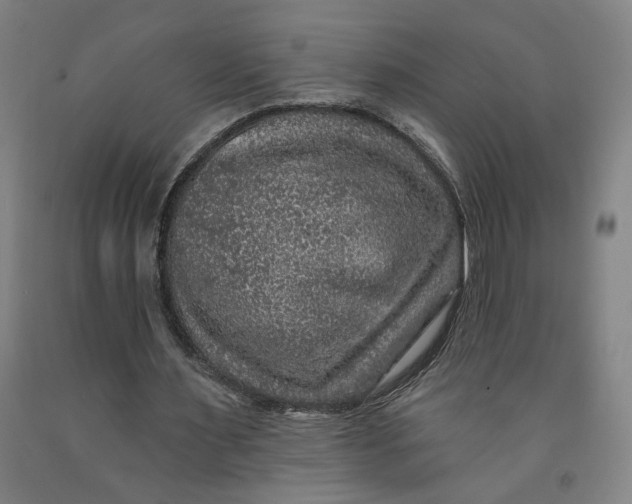 X0000091950483200709271329