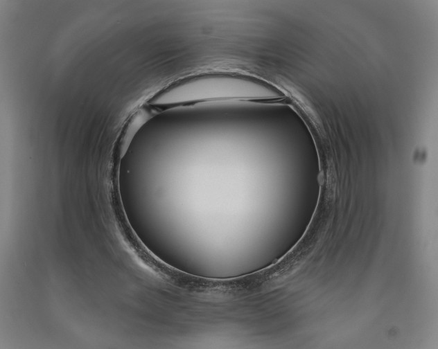 X0000091950485200709271329