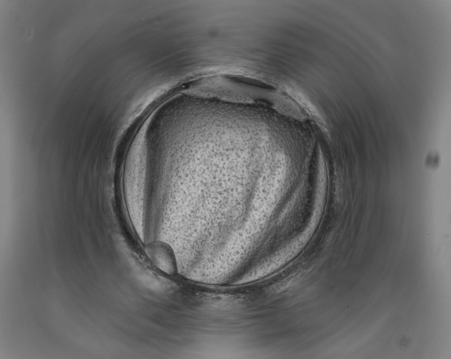 X0000091950486200709271329