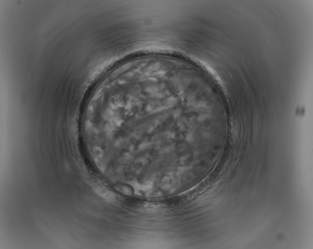 X0000091950487200709271329