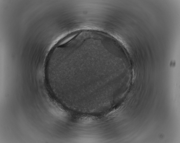 X0000091950488200709271329