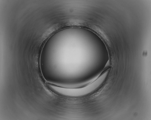 X0000091950489200709271329