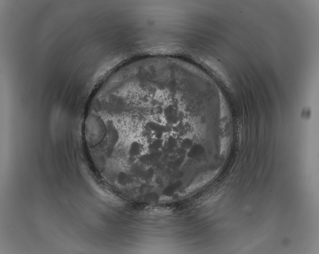 X0000091950491200709271329