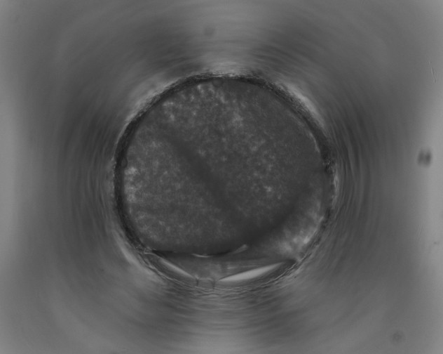 X0000091950492200709271329