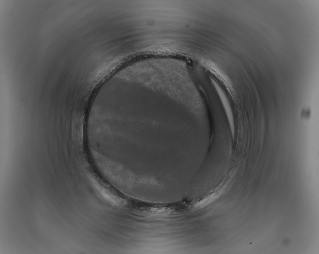 X0000091950493200709271329