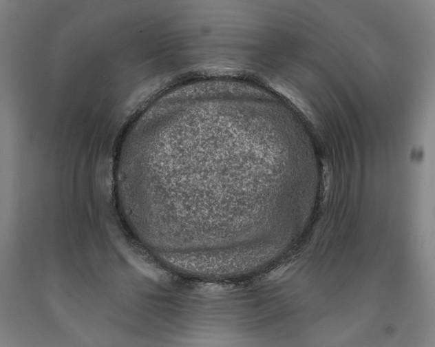 X0000091950494200709271329