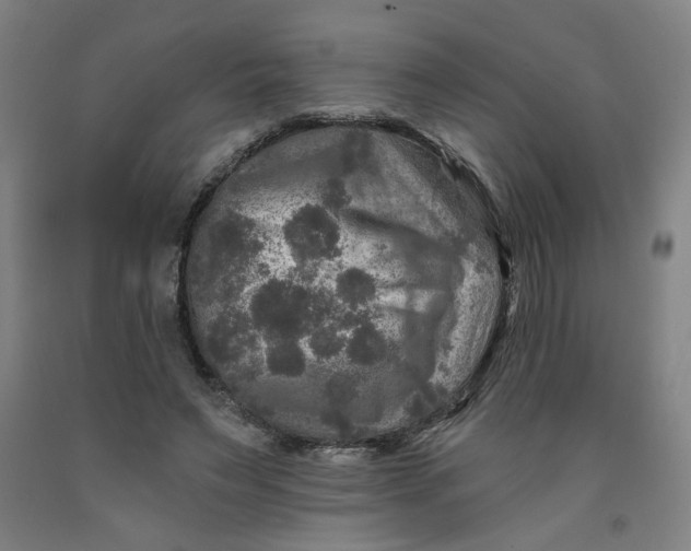 X0000091950495200709271329