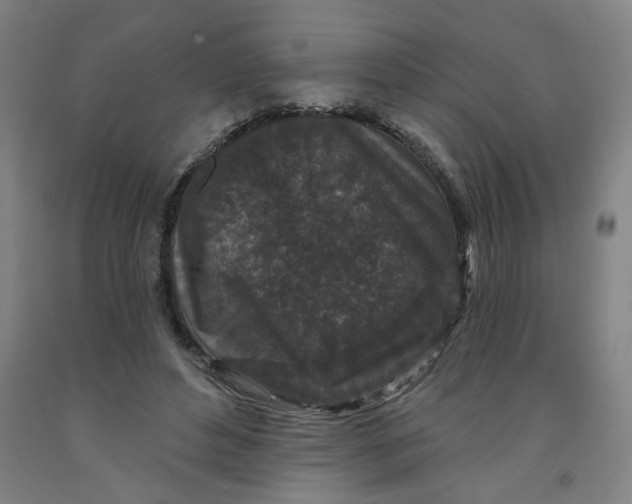 X0000091950496200709271329