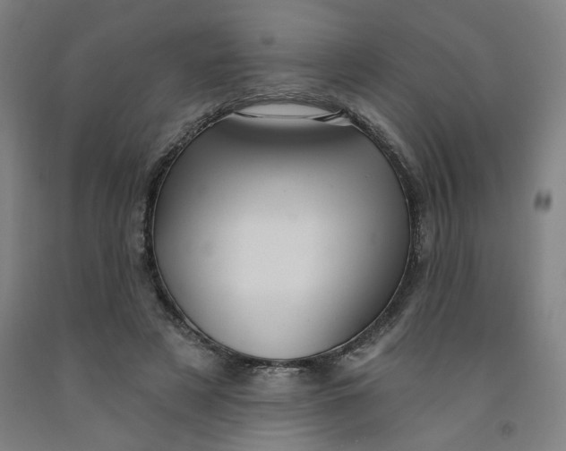 X0000091950497200709271328