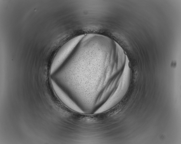 X0000091950498200709271328