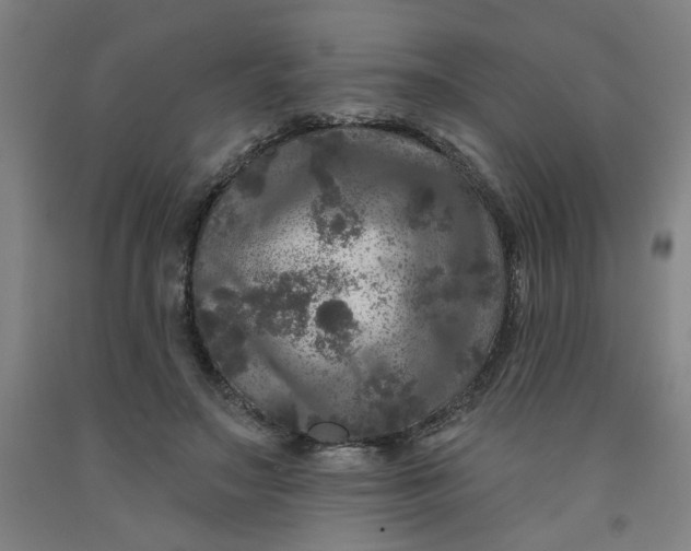 X0000091950499200709271328