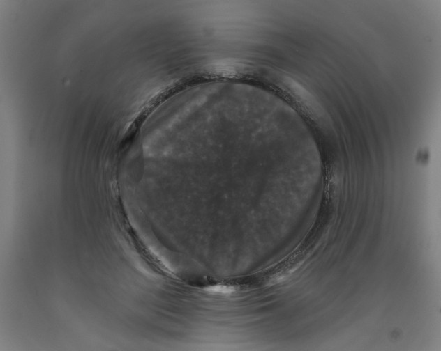 X0000091950500200709271328