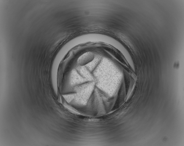 X0000091950501200709271328